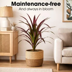 Mica Decorations Bananenboom H85 X D70 Cm Rood