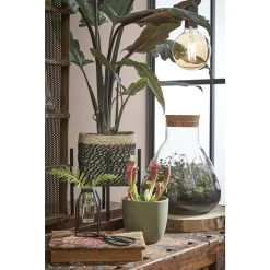Mica Decorations Emily Voorraadpot Transparant - H32xd29 -5cm