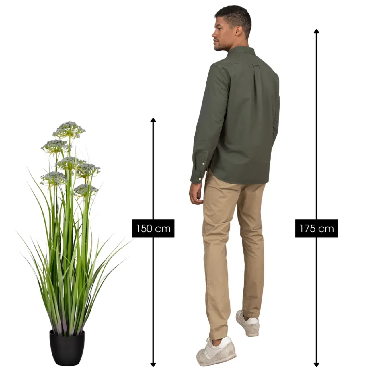 Mica Decorations Engelwortel H150 X D45 Cm Groen Paars