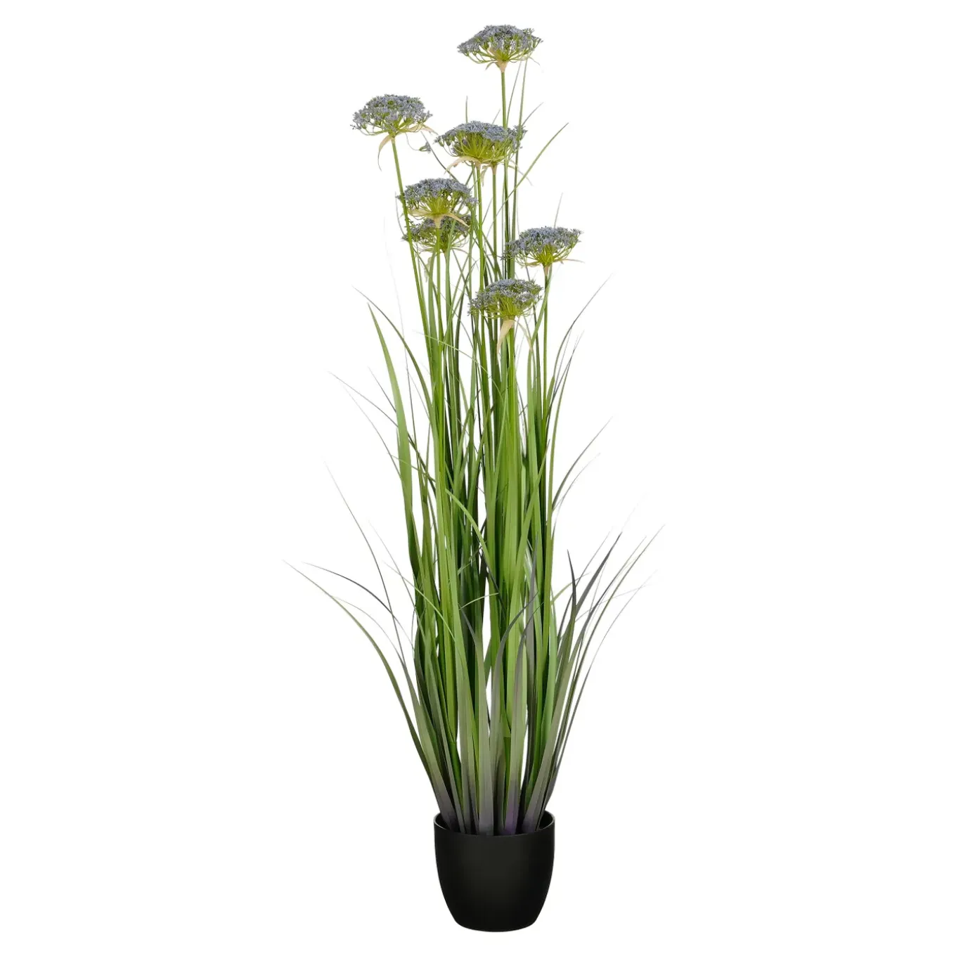 Mica Decorations Engelwortel H150 X D45 Cm Groen Paars