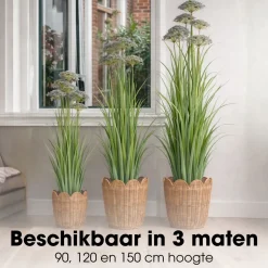 Mica Decorations Engelwortel H150 X D45 Cm Groen Paars