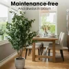 Mica Decorations Eucalyptusboom H140 X D75 Cm Groen