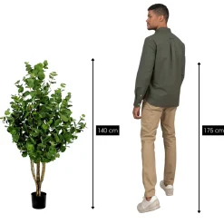 Mica Decorations Eucalyptusboom H140 X D75 Cm Groen
