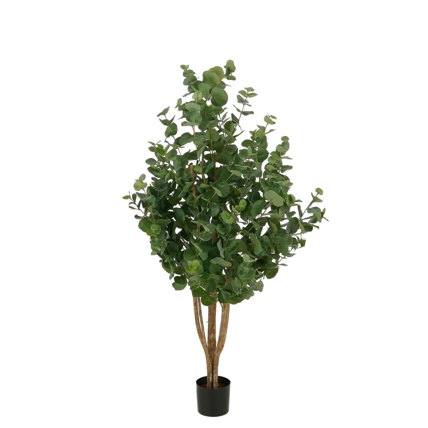 Mica Decorations Eucalyptusboom H140 X D75 Cm Groen