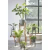 Mica Decorations Kunstplant Monstera/gatenplant - Groen - 100 Cm