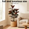 Mica Decorations Rubberplant H120 X D80 Cm Rood
