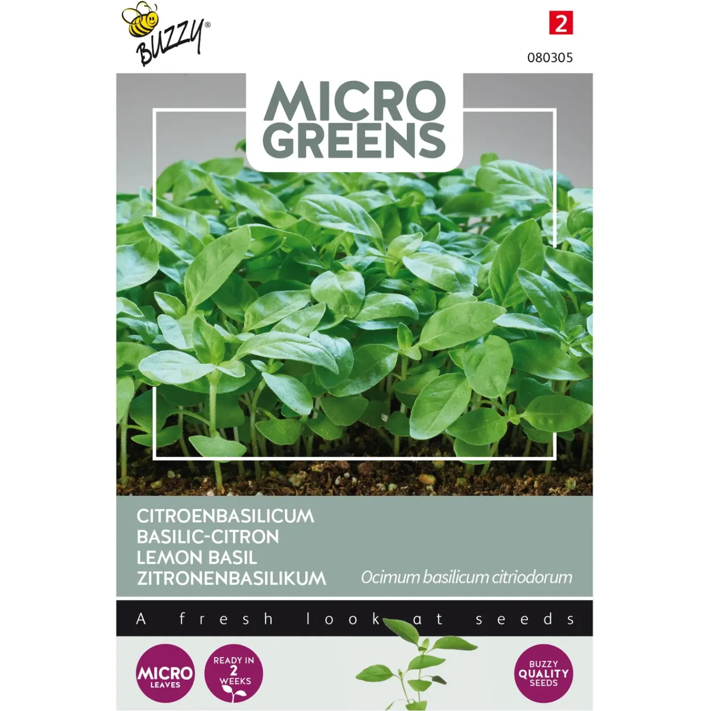 Overig Microgreens Citroenbasilicum