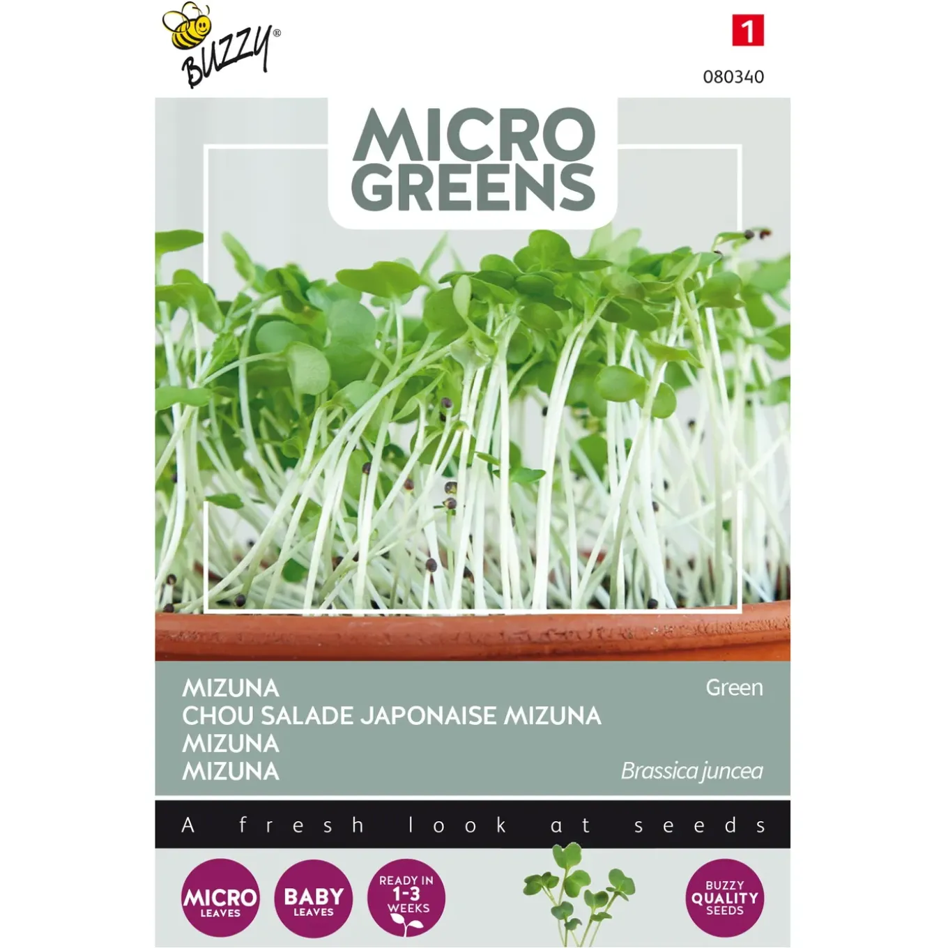 Microgreens Mizuna Green