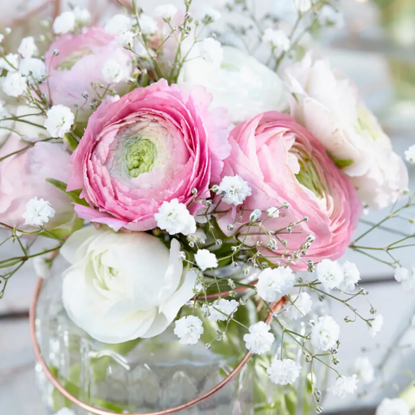 Mix Van 50 - Ranunculus - Ranonkel - Voorjaarsbloeiend - Meerjarige Planten - Groeit Tot 30-40 Cm