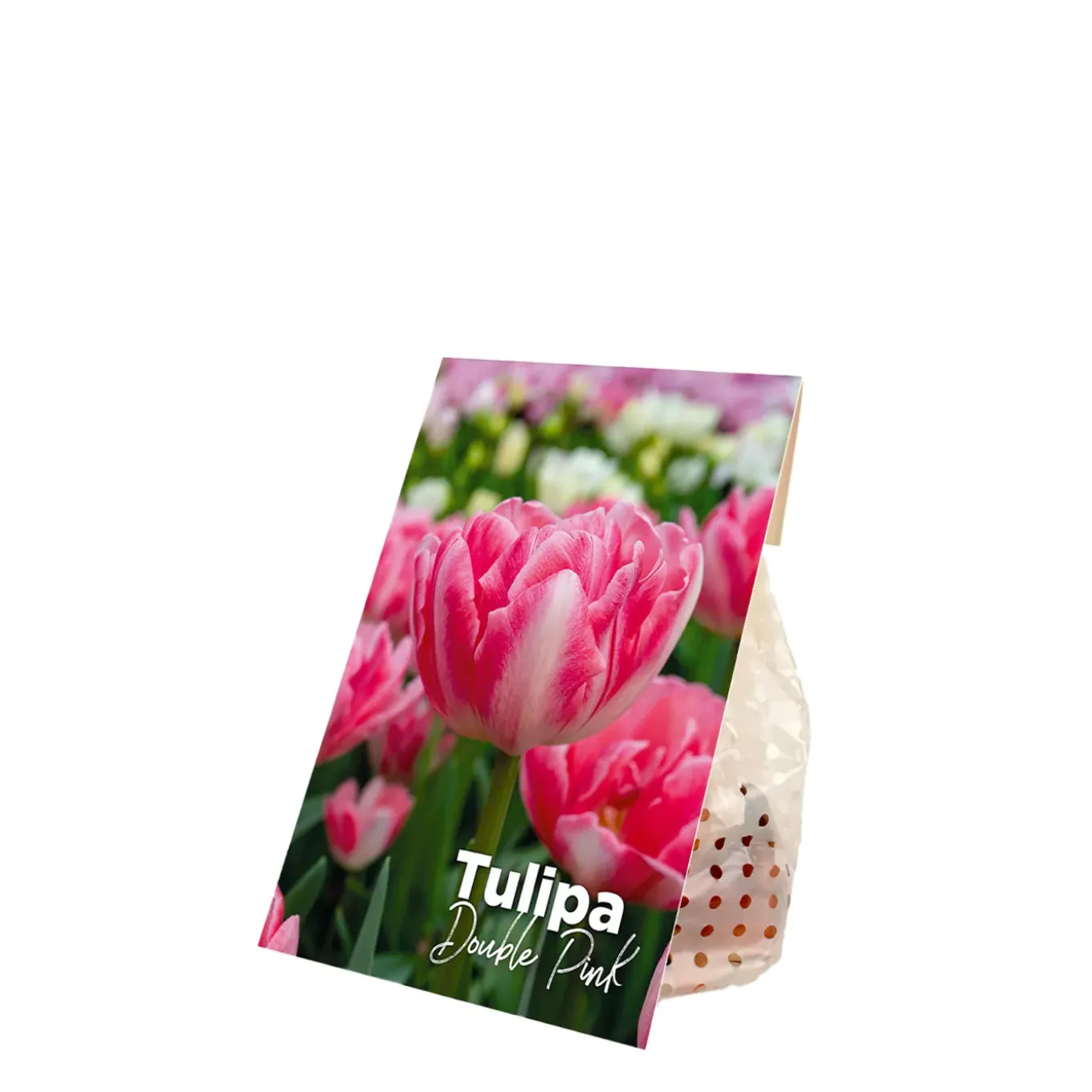 Mix Van 20 - Tulipa Double Pink - Tulpenbollen - Meerjarige Planten - Groeit Tot 30-35 Cm