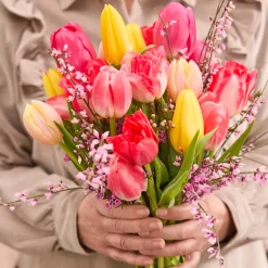 Mix Van 20 - Tulipa Regenboog Mix - Tulpenbollen - Meerjarige Planten - Groeit Tot 30-35 Cm