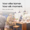 Modee Halogeenlamp E14 - 42w 624lm 2700k - Warm Wit Licht - Dimbaar - Kaarslamp C37 - 1 Stuk
