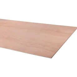 Overig Multiplex hardhout 244X122cm 12mm