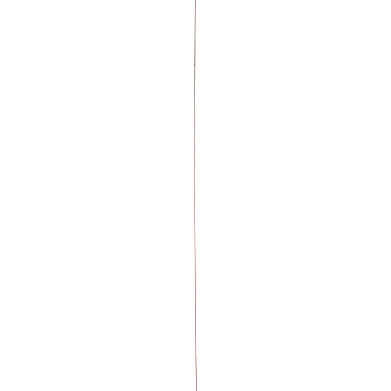 Multiplex populieren 244x122cm 6mm