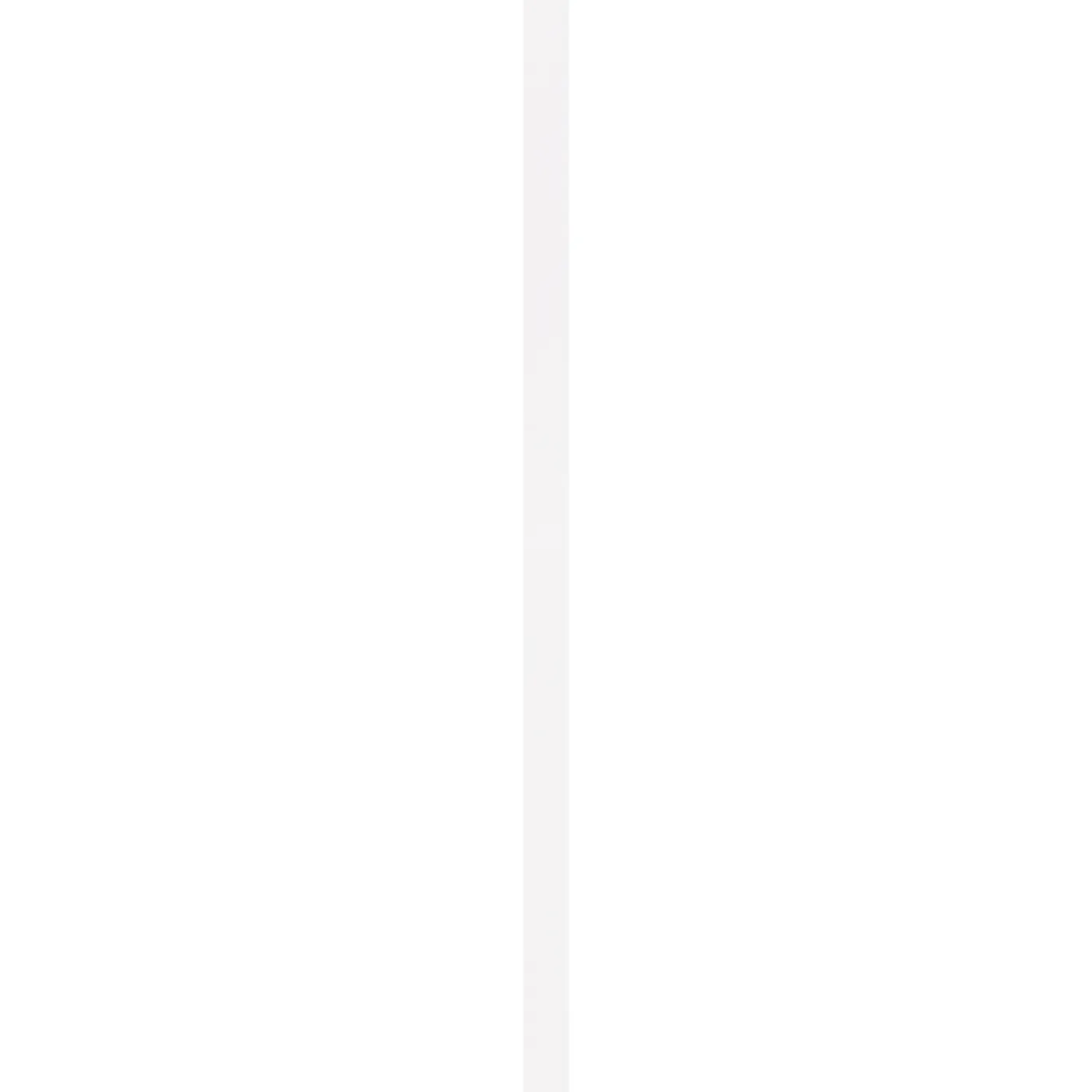 Overig Muurplint Blok - Wit - MDF - Gegrond - 244cm - 12x79mm
