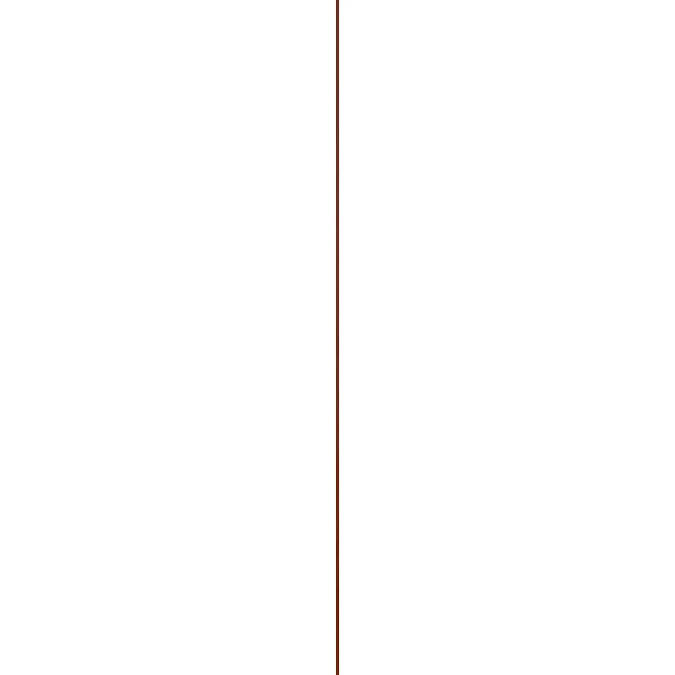 Muurplint - Bruin - Meranti - Gelakt - 240cm - 11x55mm