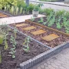 MySteel - Cortenstaal Staptegel - Rechthoek - 25x60cm - Roestkleur