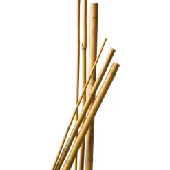 Nature bamboestok H90cmxØ8-10mm 7 stuks