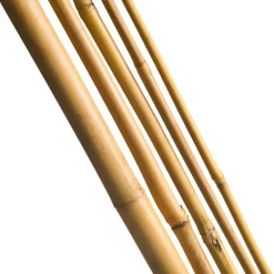 Nature bamboestok naturel H240cm x Ø18-20mm 3 stuks