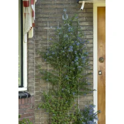 Nature klimrek rechthoekig model bevestiging set 145x57cm