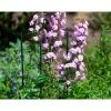 Nature kunststof plantenstok groen geribbeld H210cmxØ16mm