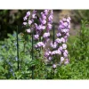 Nature kunststof plantenstok groen, geribbeld H90cmxØ8mm