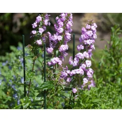 Nature kunststof plantenstok groen, geribbeld H90cmxØ8mm