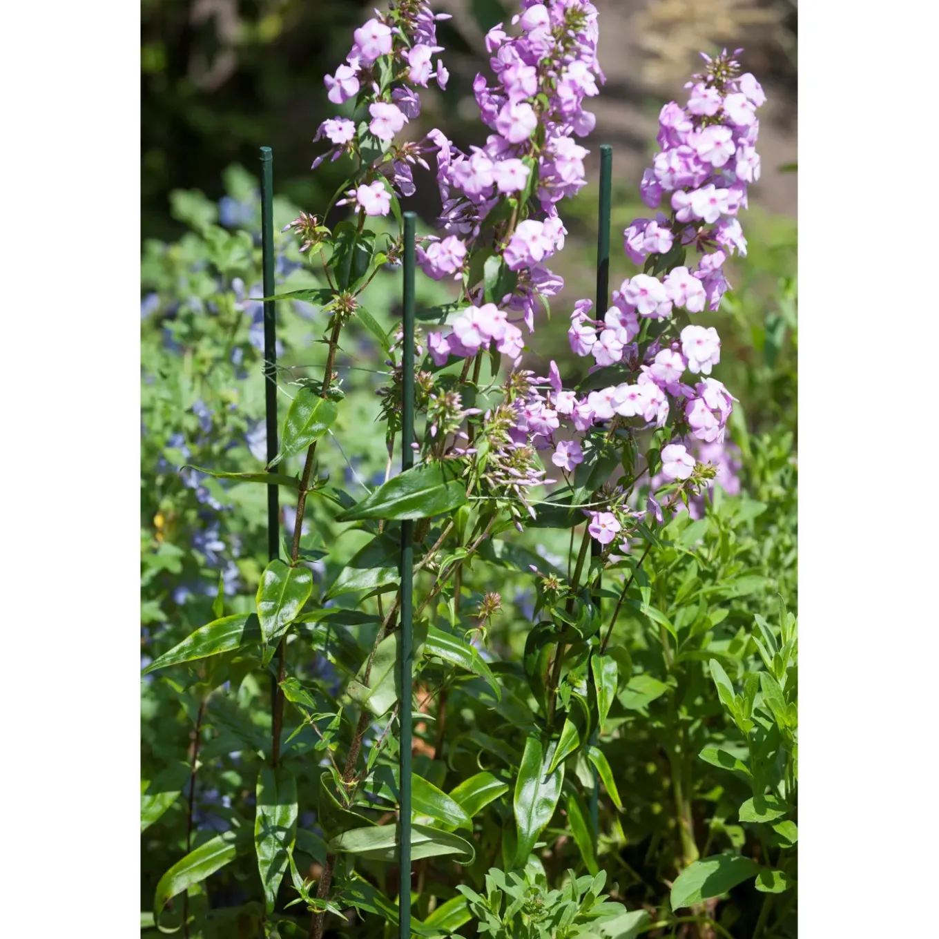 Nature kunststof plantenstok groen, geribbeld H90cmxØ8mm