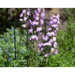 Nature kunststof plantenstok groen geribbeld H90cmxØ8mm
