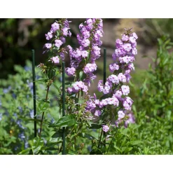 Nature kunststof plantenstok groen geribbeld H60cmxØ8mm