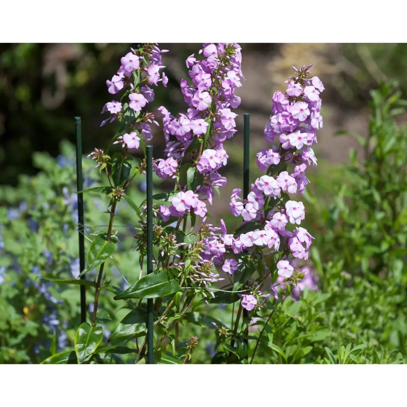 Nature kunststof plantenstok groen geribbeld H60cmxØ8mm