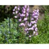 Nature kunststof plantenstok groen, geribbeld H120cmxØ11mm