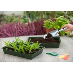 Nature Kweekbak - Polystyreen - Groen - 35 x 23,5 x 5,5 cm - 5 Stuks