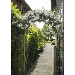 Nature rozenboog zwart 113x38x229cm