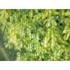Nature Schermgaas - Groen - Kunststof - Uv Bestendig - 1 X 3 M