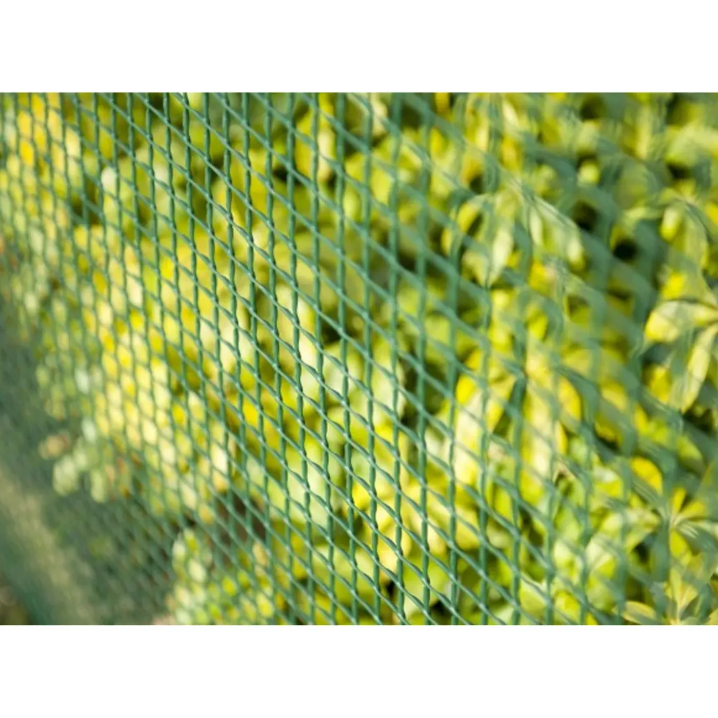 Nature Schermgaas - Groen - Kunststof - Uv Bestendig - 1 X 3 M