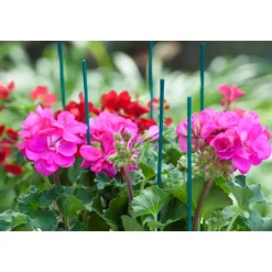 Nature splitbamboe groen H50cm x Ø4-4,5mm 10 stuks