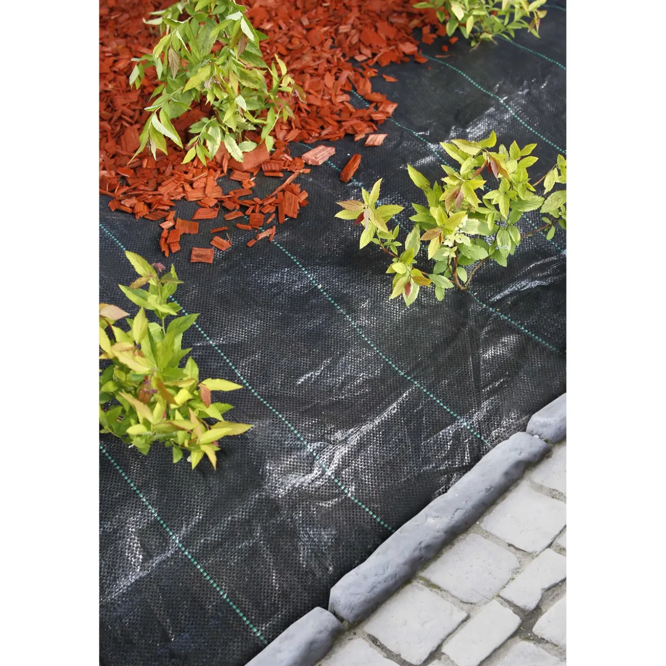 Nature worteldoek zwart 100 g/m² 5,20x5m