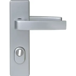 Nemef Veiligheidsbeslag voor Deur 3407-II - Aluminium Zilver - SKG*** Kerntrekbeveiliging - PC72mm
