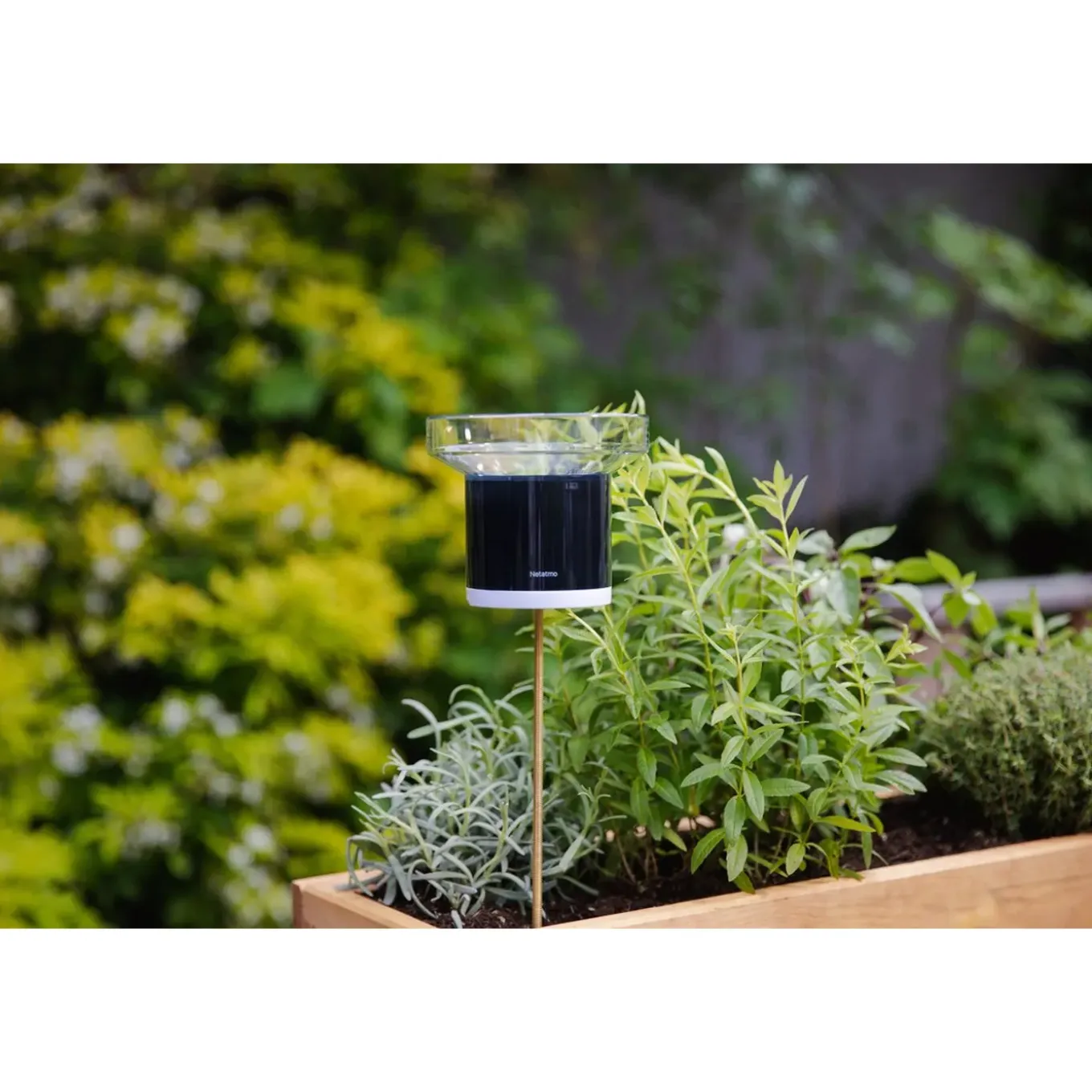Netatmo Slimme Regenmeter - Real-time Regenmeting & App Notificaties