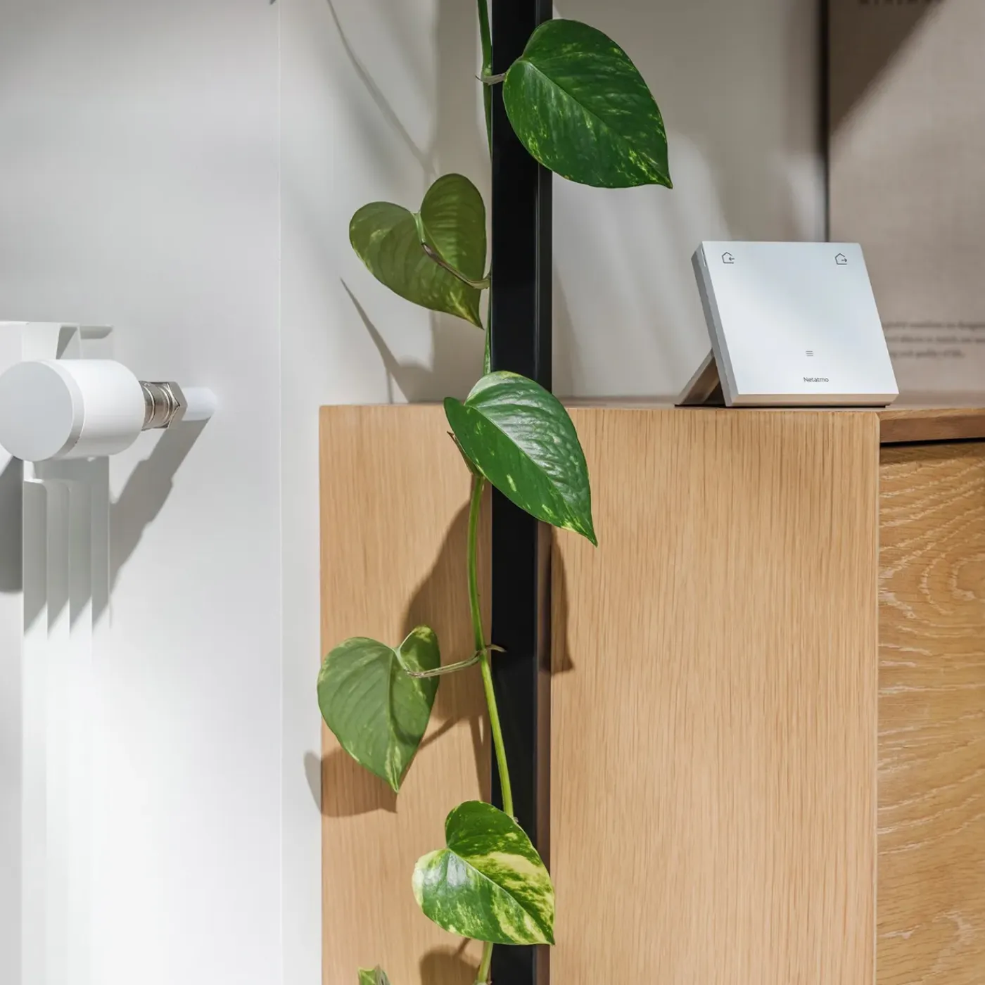Netatmo - Tafelstandaard Voor Thermostaat Original - Draadloze Installatie - Verplaatsbaar