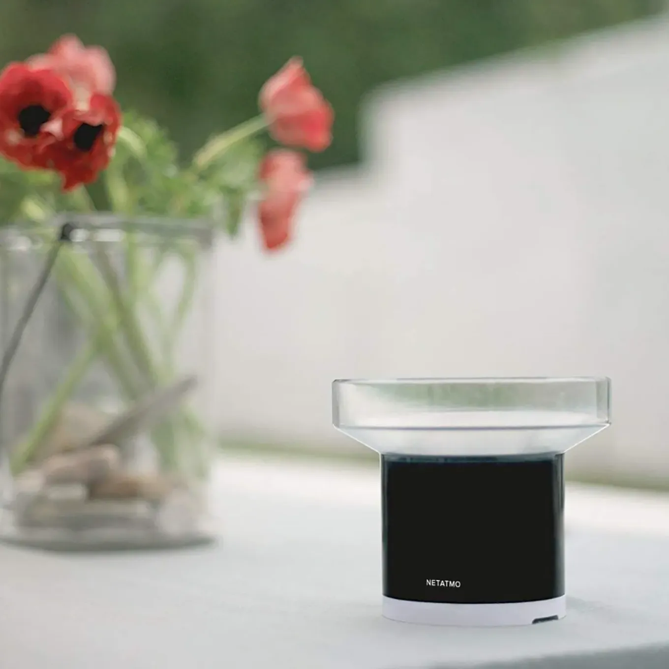 Netatmo Weerstation Original + Binnenmodule 2e Generatie + Regenmeter - Munt