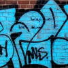 Net+ Pro Graffitireiniger - Richard - 5 L