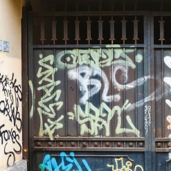 Net+ Pro Graffitireiniger - Richard - 5 L