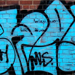 RICHARD Net+ Pro Graffitireiniger - - 1 L Spray