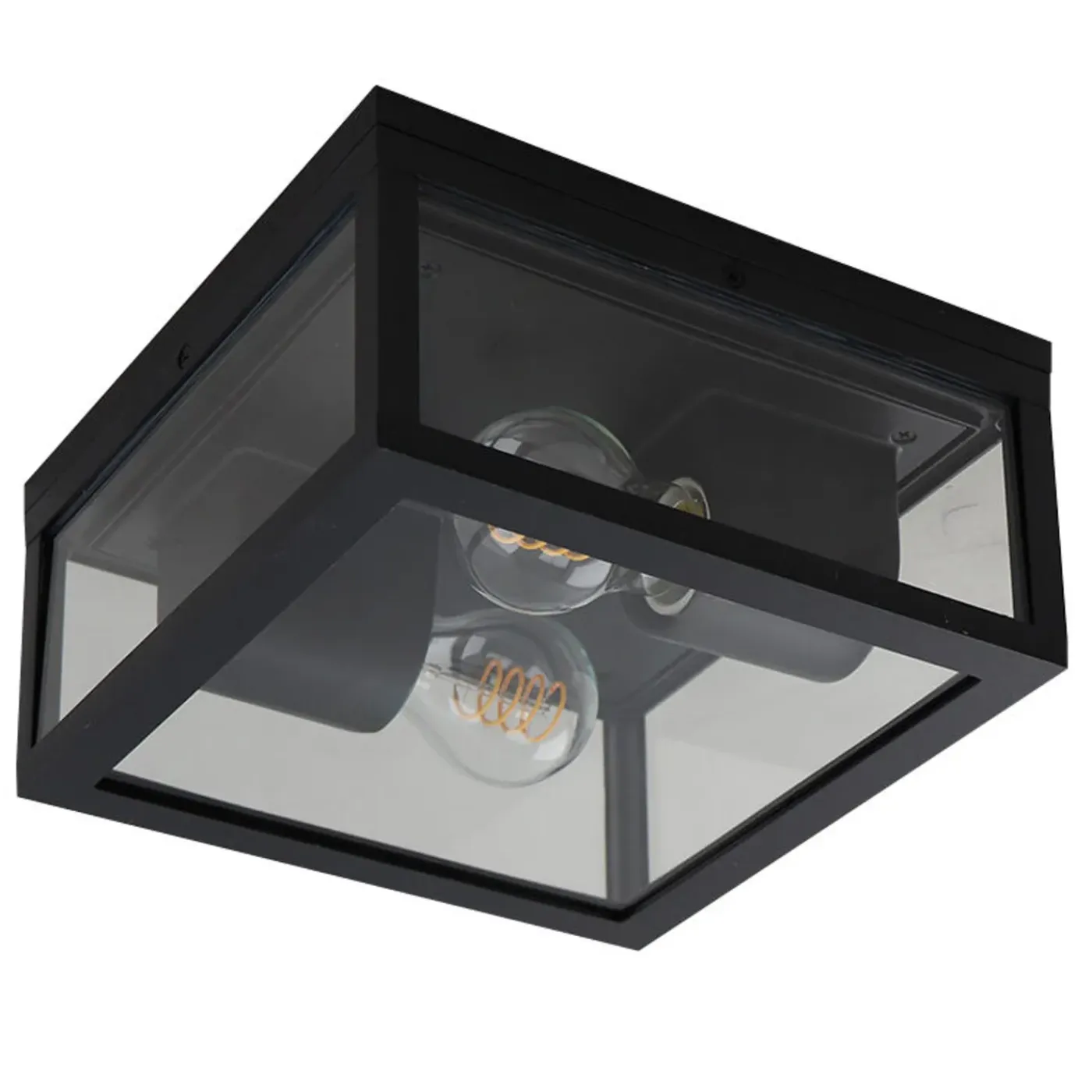 Olucia - Ivanka - Buitenplafondlamp - Zwart
