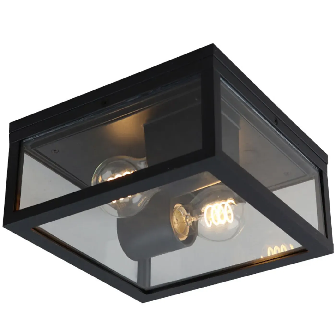 Olucia - Ivanka - Buitenplafondlamp - Zwart
