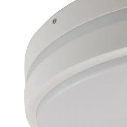 Olucia - James - Buitenplafondlamp - Wit