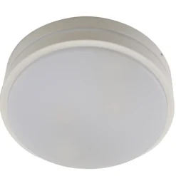 Olucia - James - Buitenplafondlamp - Wit