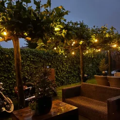 Olucia - 30m Sfeerlicht - 60 Lampenhouders